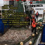 IMG_20260114_181855_382