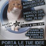 assemblee